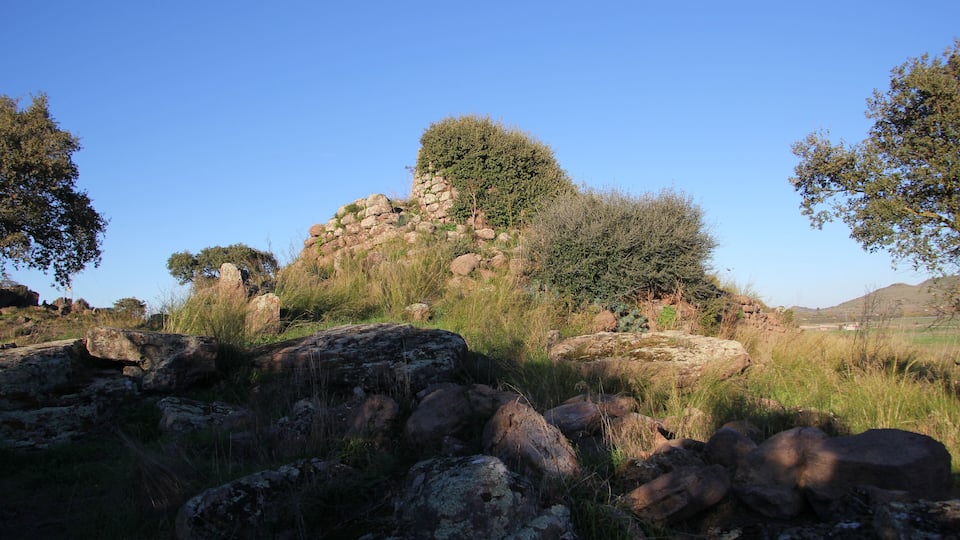 A rocky hill with sparse vegetation and trees.