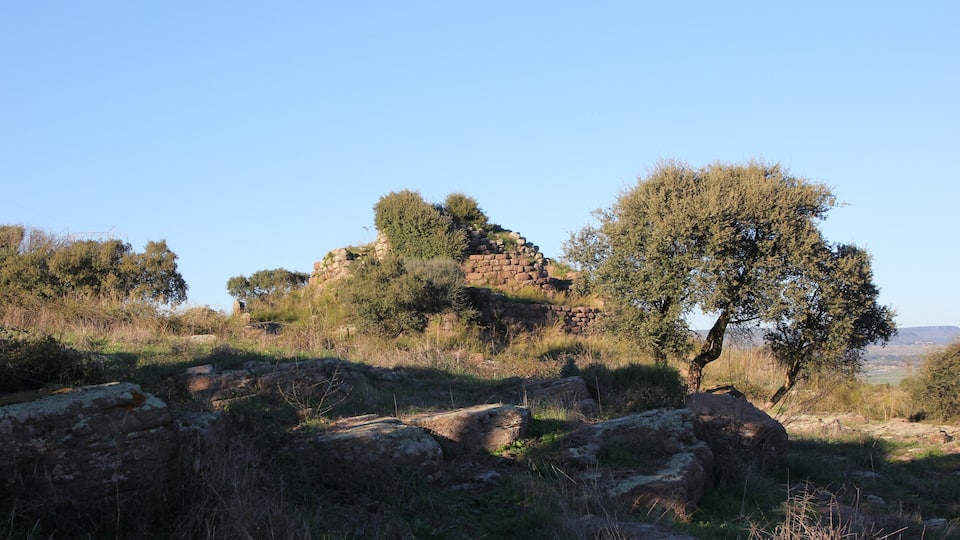 A rocky landscape with a stone structure and trees.