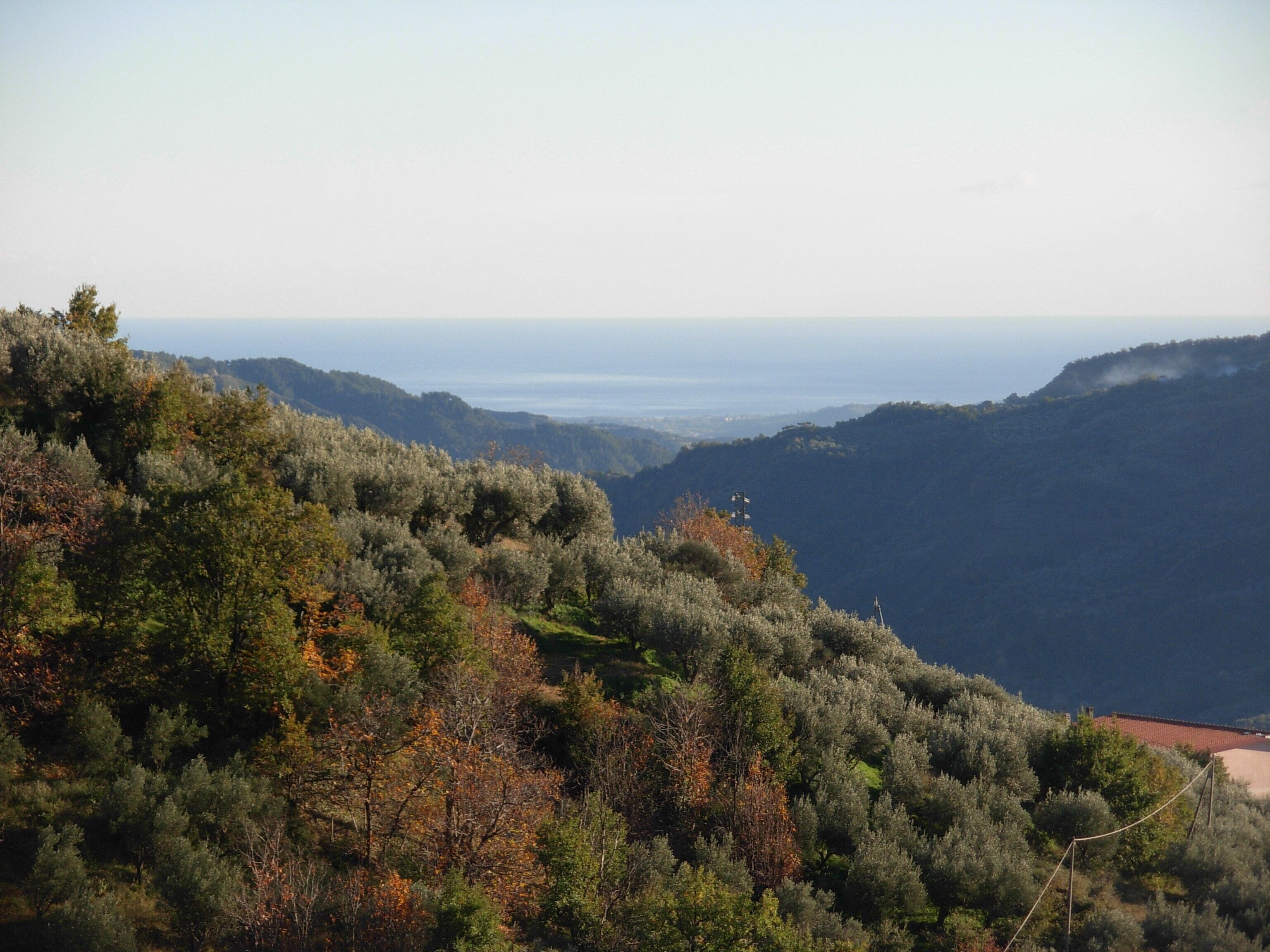 Verso la costa Jonica