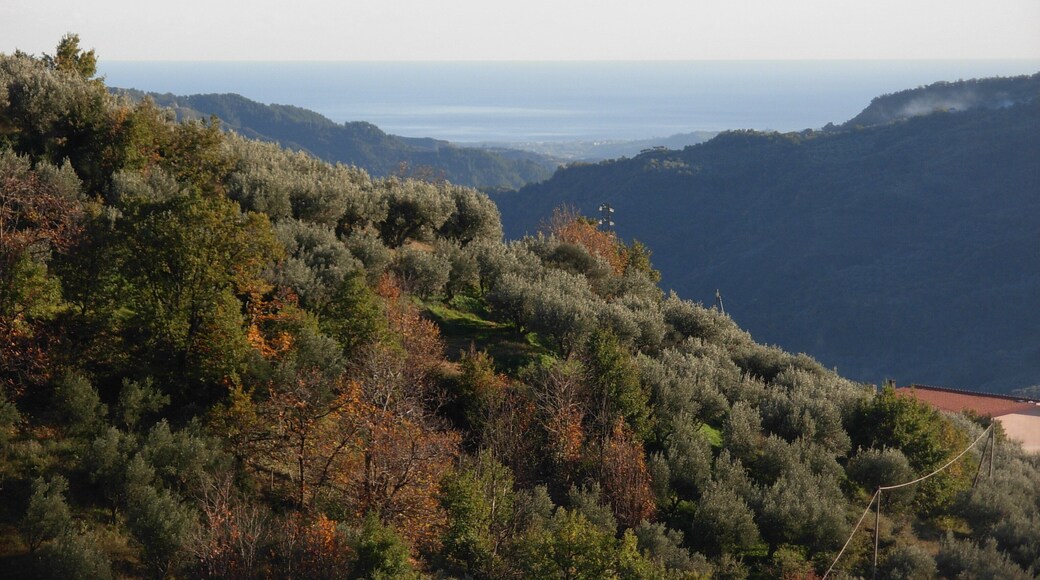 Verso la costa Jonica