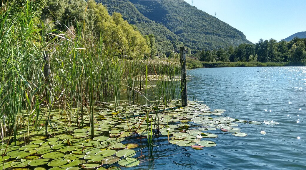 parco regionale delle Orobie Bergamasche (Q3895555)