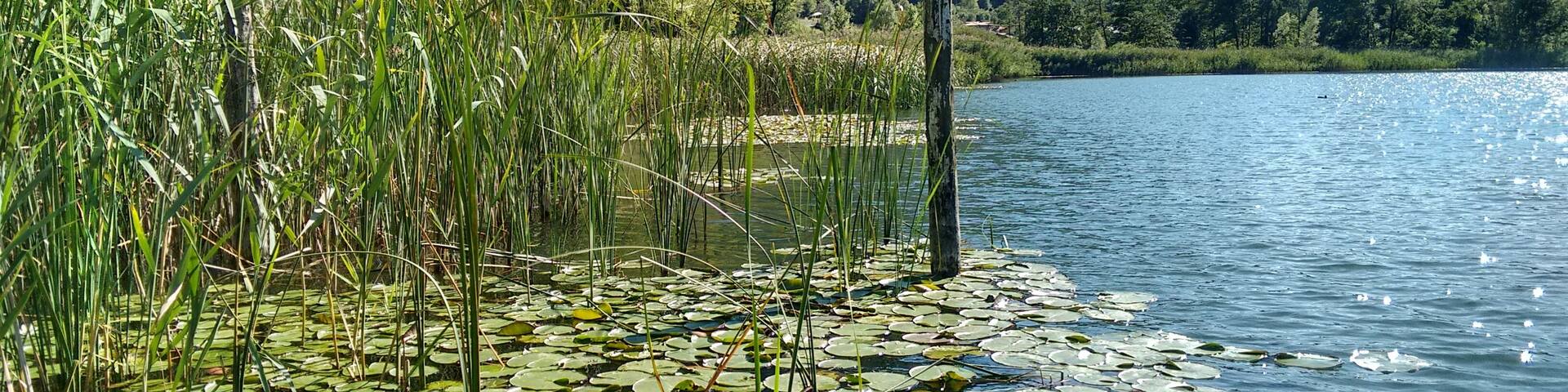 parco regionale delle Orobie Bergamasche (Q3895555)