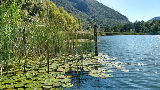 parco regionale delle Orobie Bergamasche (Q3895555)