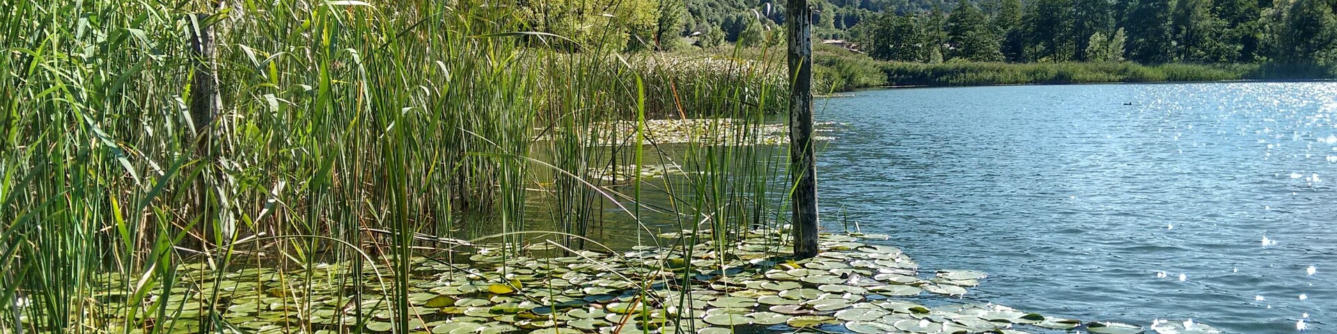 parco regionale delle Orobie Bergamasche (Q3895555)