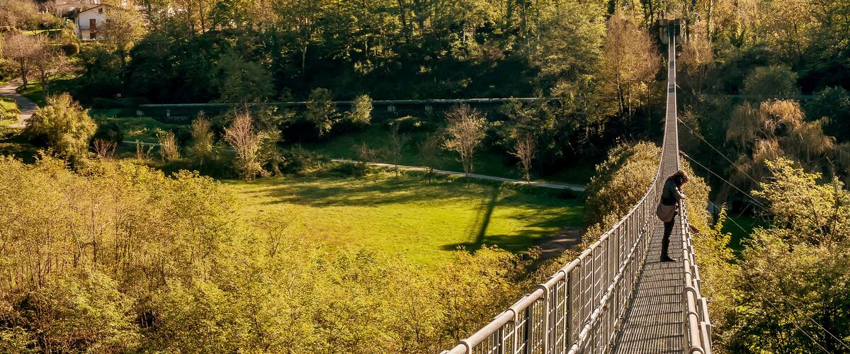 A suspension bridge over a valley with a village on a hill in the background.