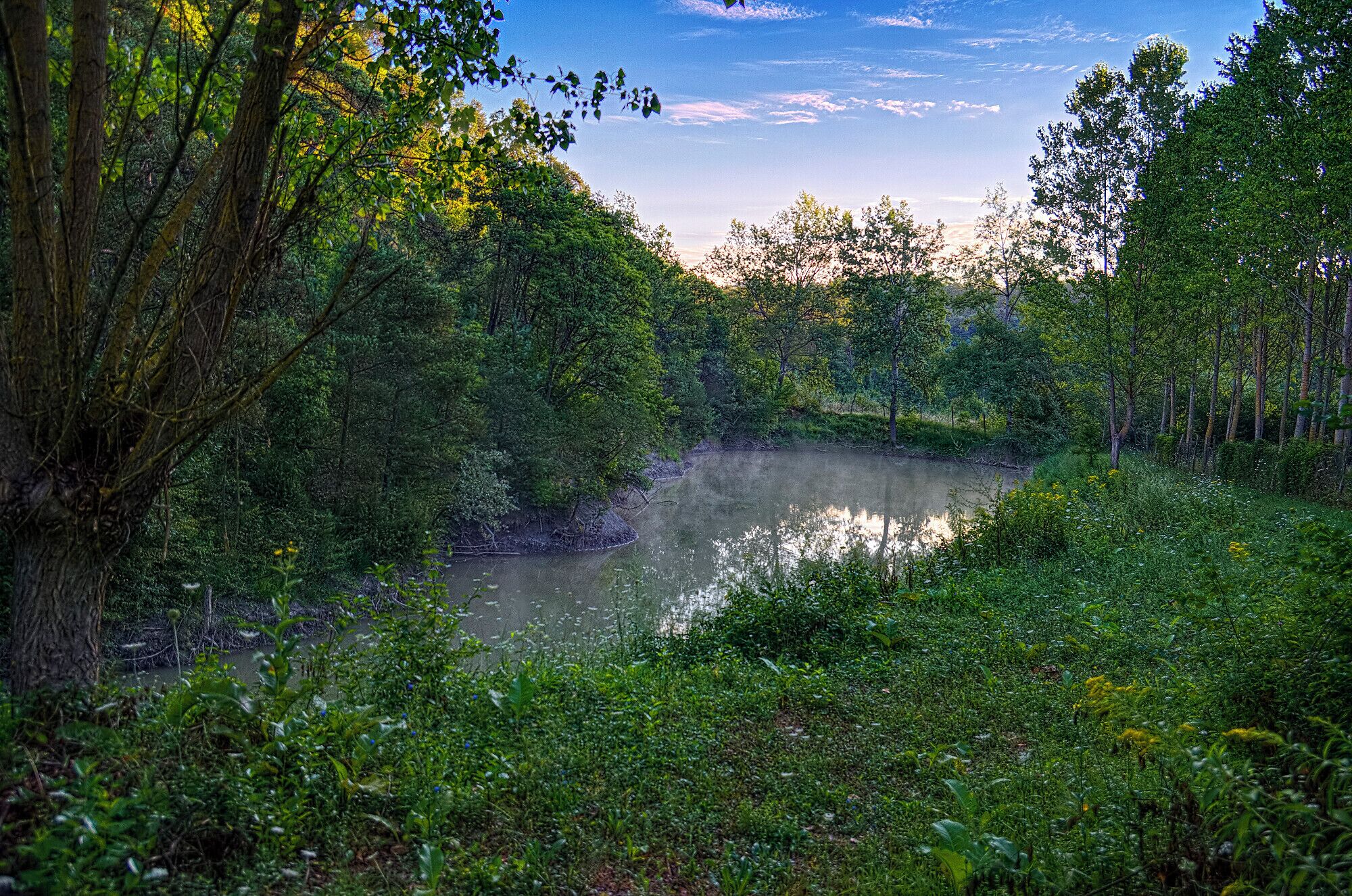 A river surrounded by dense greenery and trees.