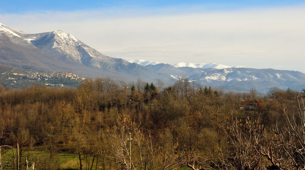 03010 Vico nel Lazio, Province of Frosinone, Italy