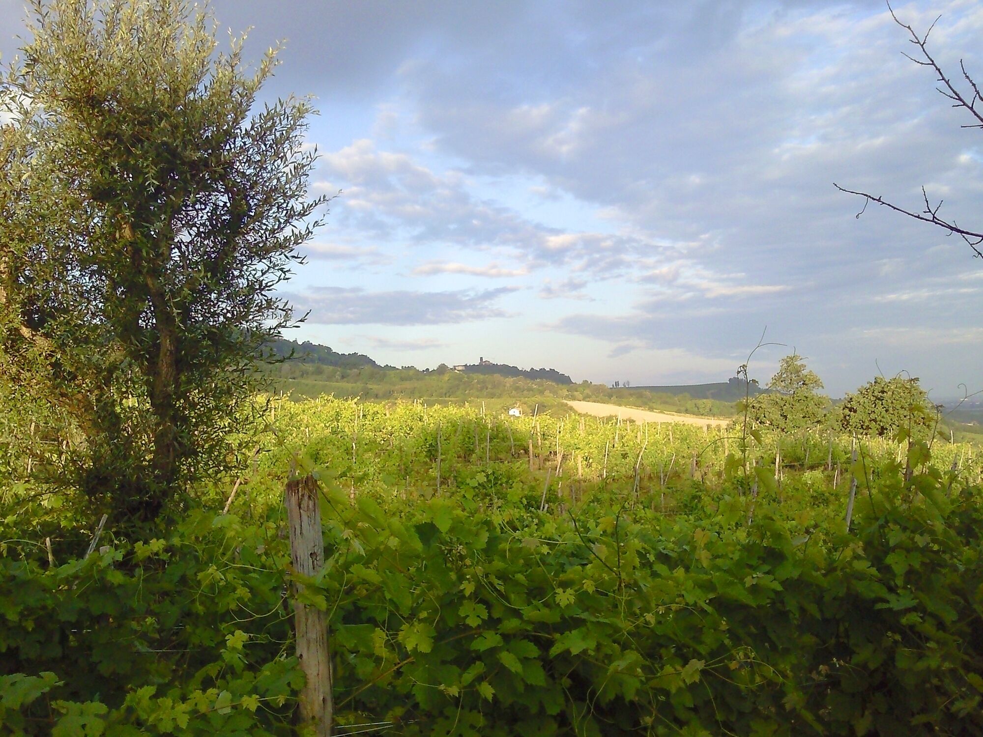 Ultimi sprazzi di Primavera