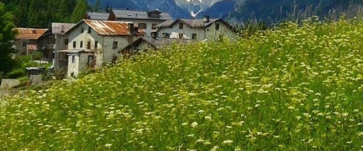 A mountainous landscape with snow-capped peaks, a village with rustic buildings, and a field of wildflowers.