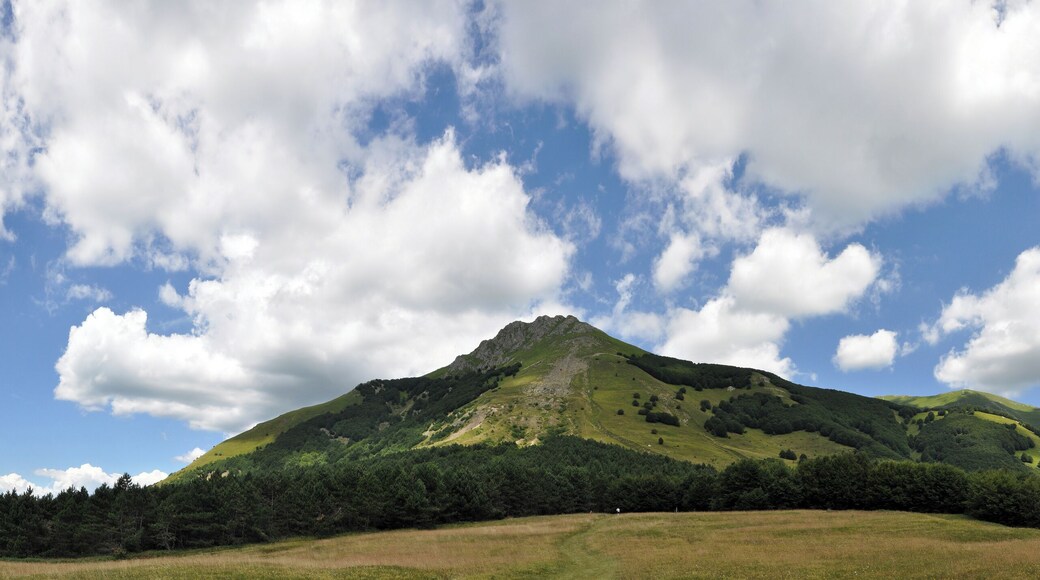 Monte Alto - Collagna (RE) Italy - July 25, 2010