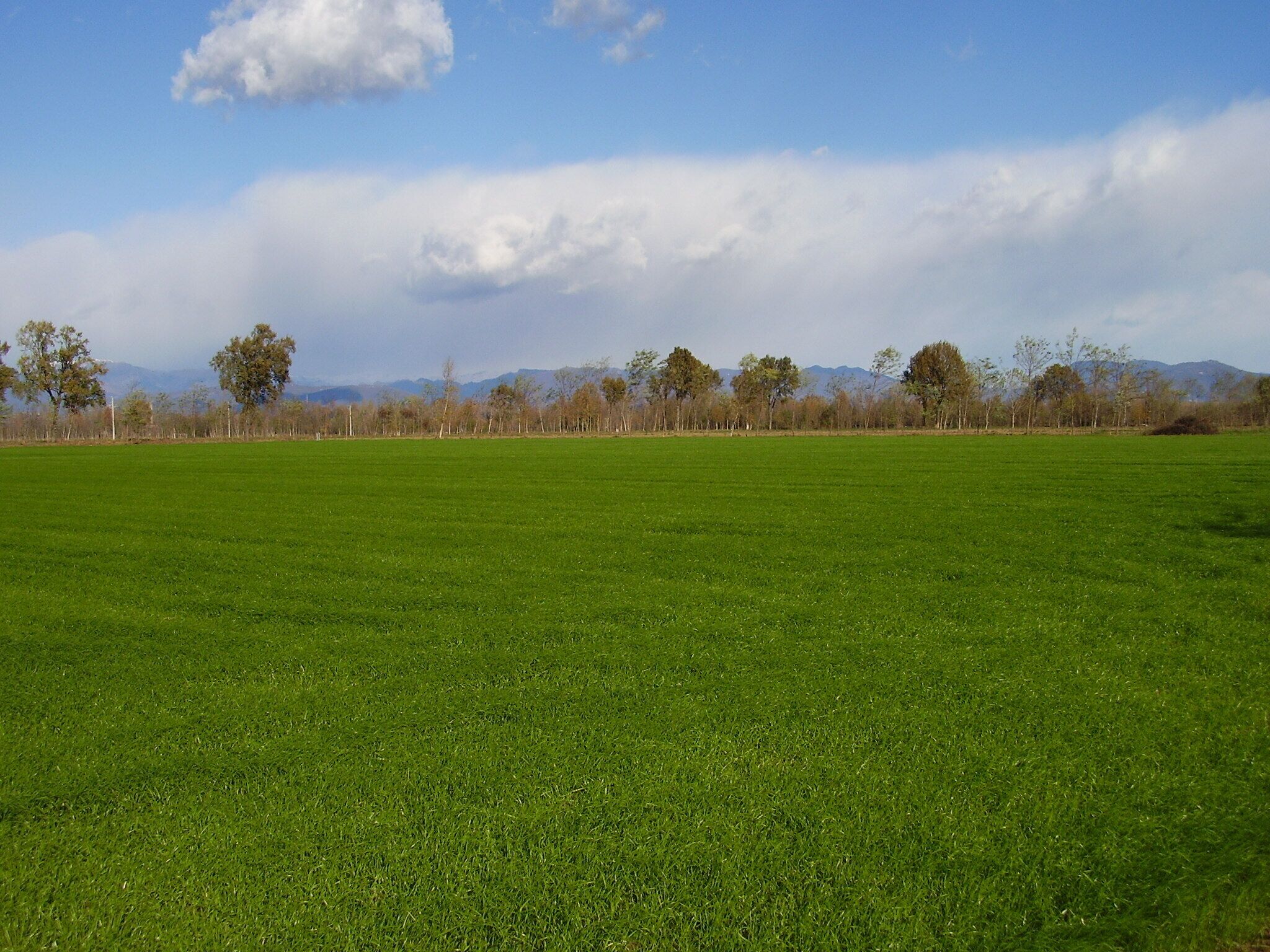 2008-11-22 Windows xp sfondo