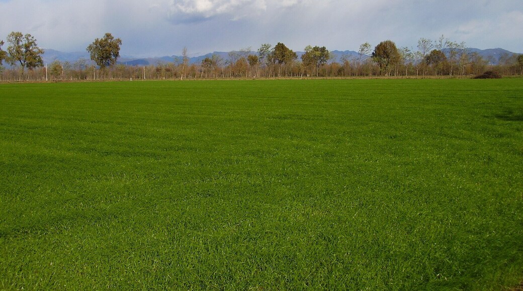 2008-11-22 Windows xp sfondo