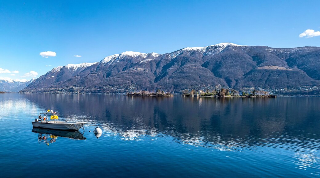 جامبارونيو