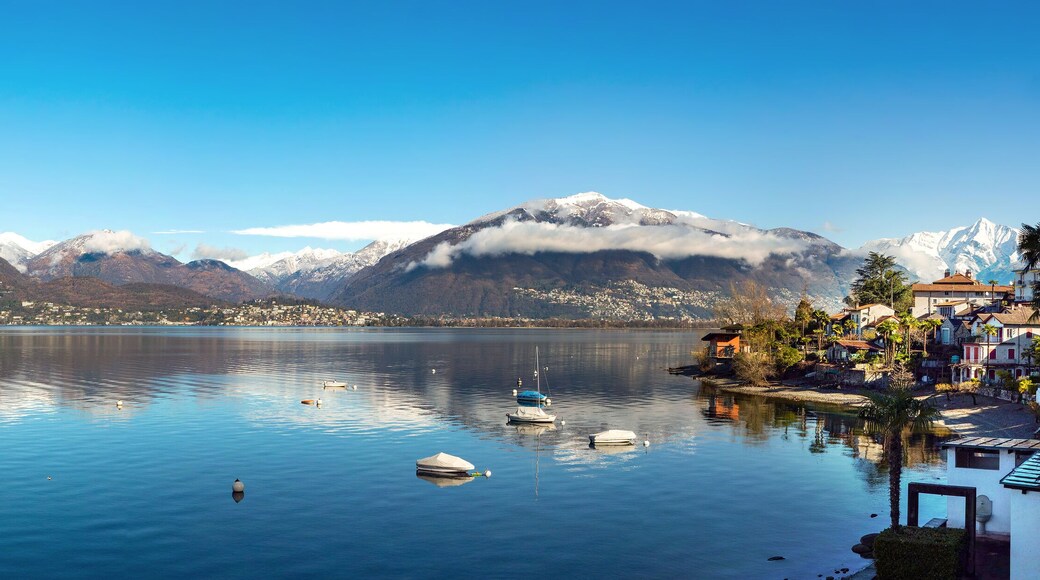 جامبارونيو