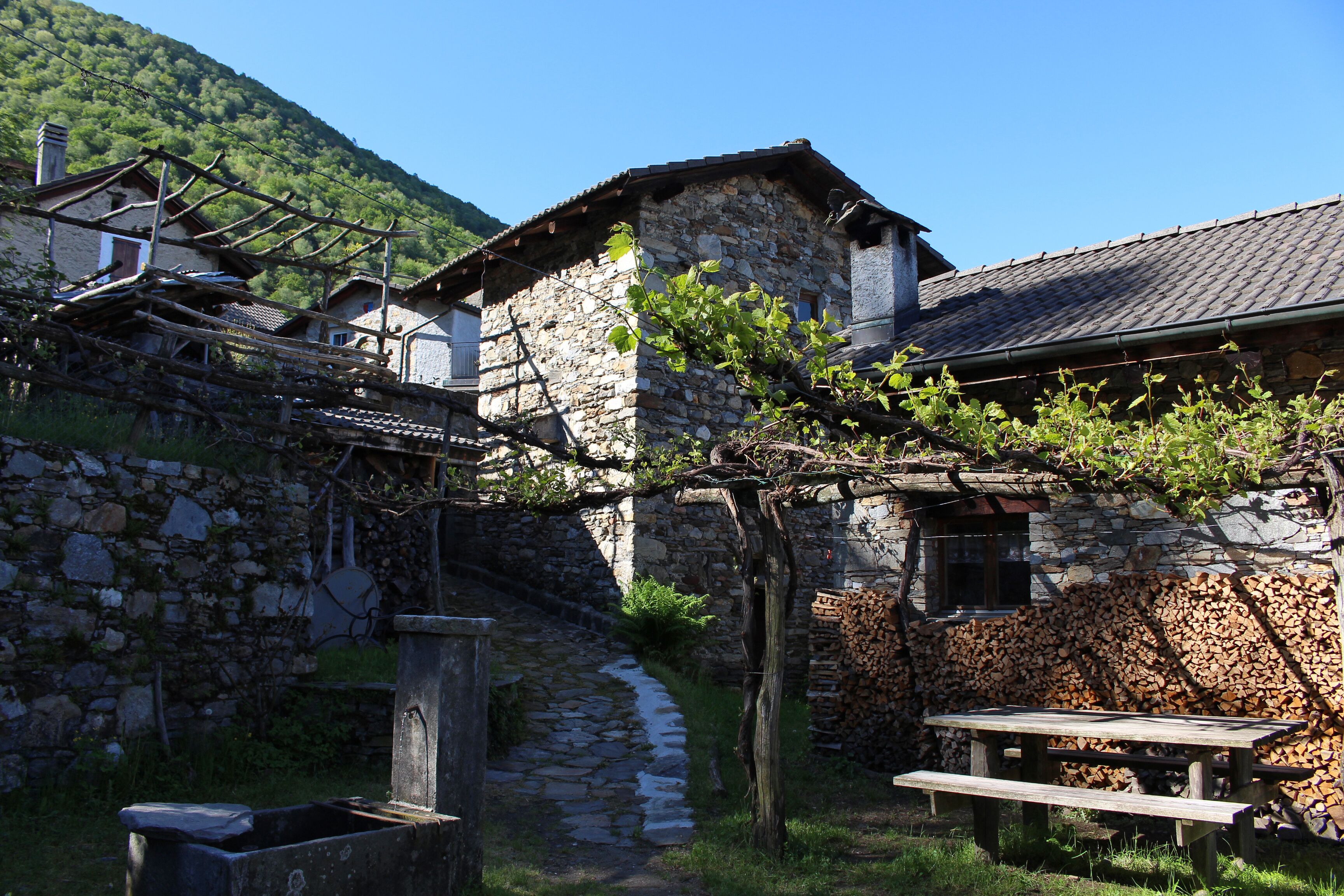 Im Bergweiler Monti di Caviano (695 m.ü.M.) oberhalb von Caviano am Lago Maggiore im Schweizer Südkanton Ticino.