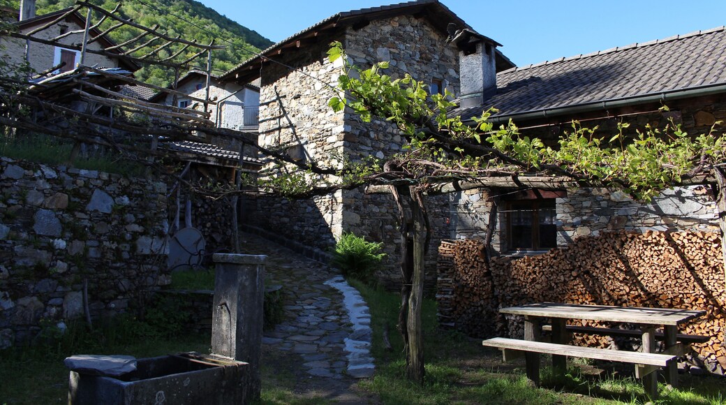Im Bergweiler Monti di Caviano (695 m.ü.M.) oberhalb von Caviano am Lago Maggiore im Schweizer Südkanton Ticino.