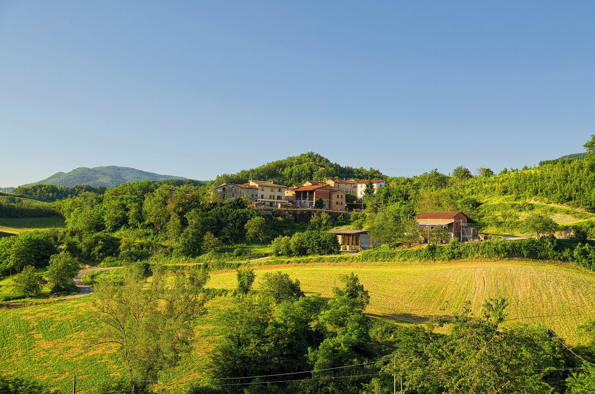 A rural landscape with a cluster of houses on a hillside, surrounded by lush greenery and fields.
