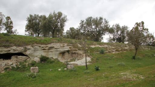 Illorai, necropoli di Molia