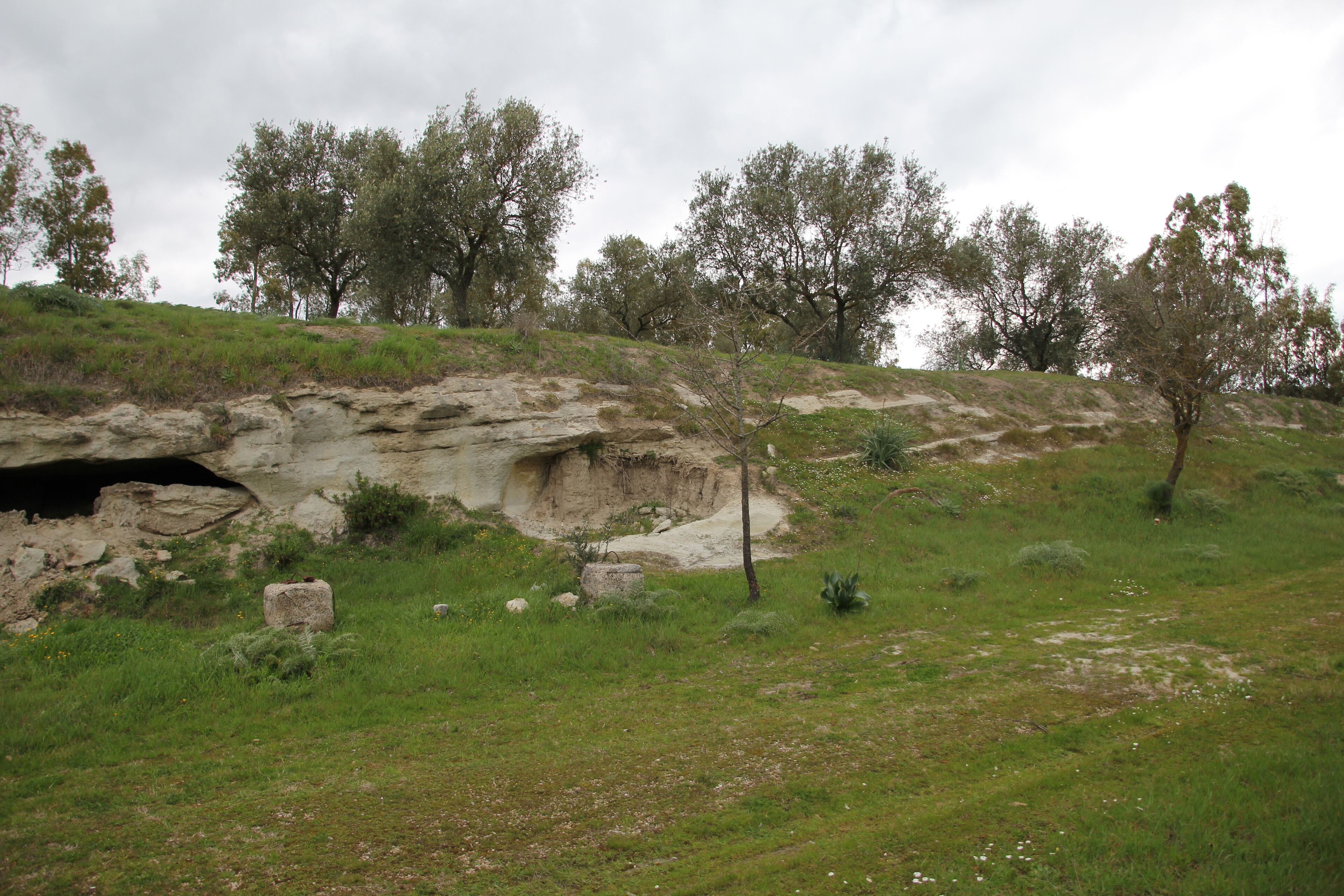 A rocky hillside with sparse vegetation and a few trees.