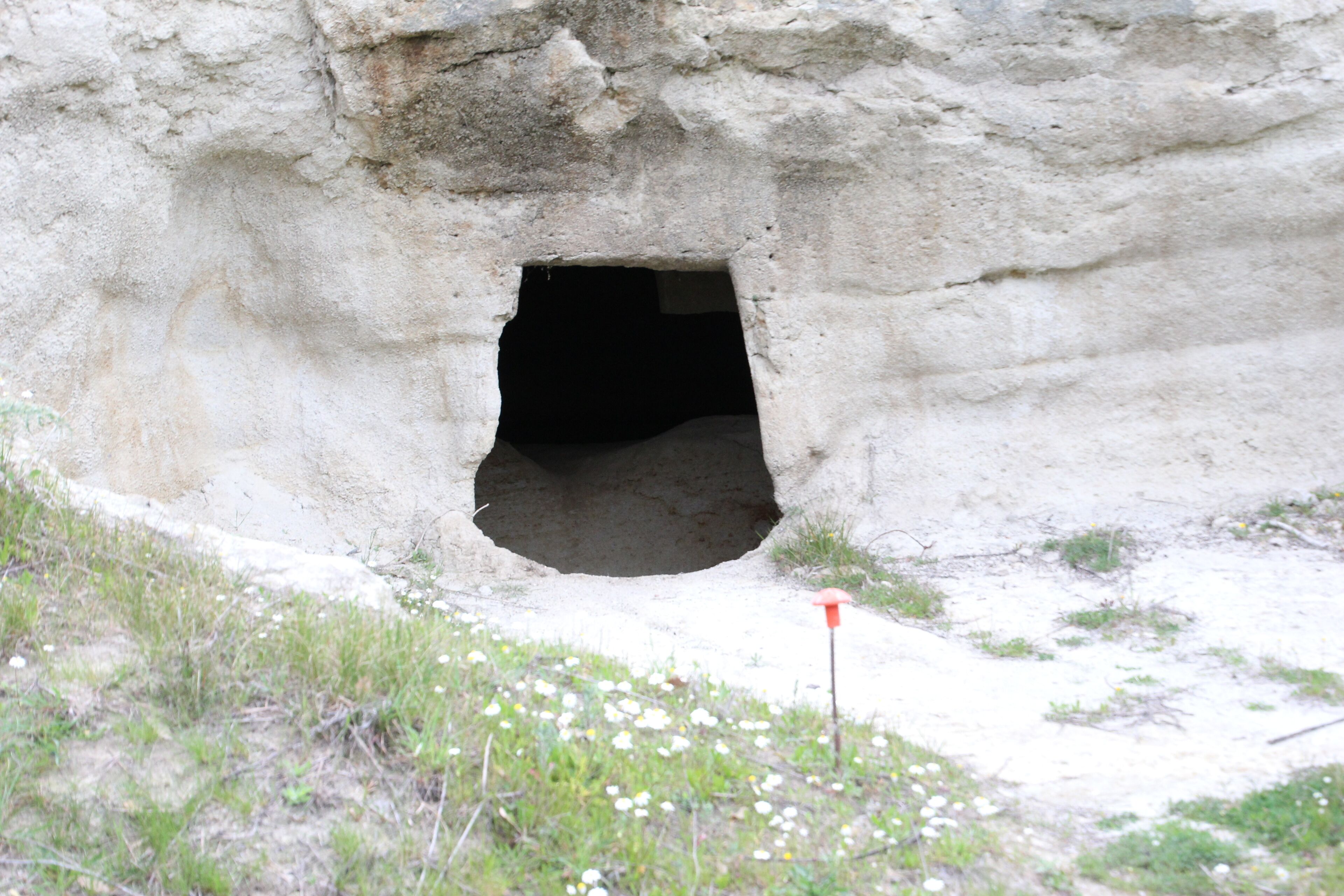 Illorai, necropoli di Molia