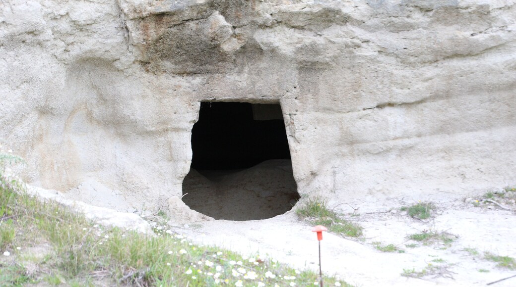 Illorai, necropoli di Molia