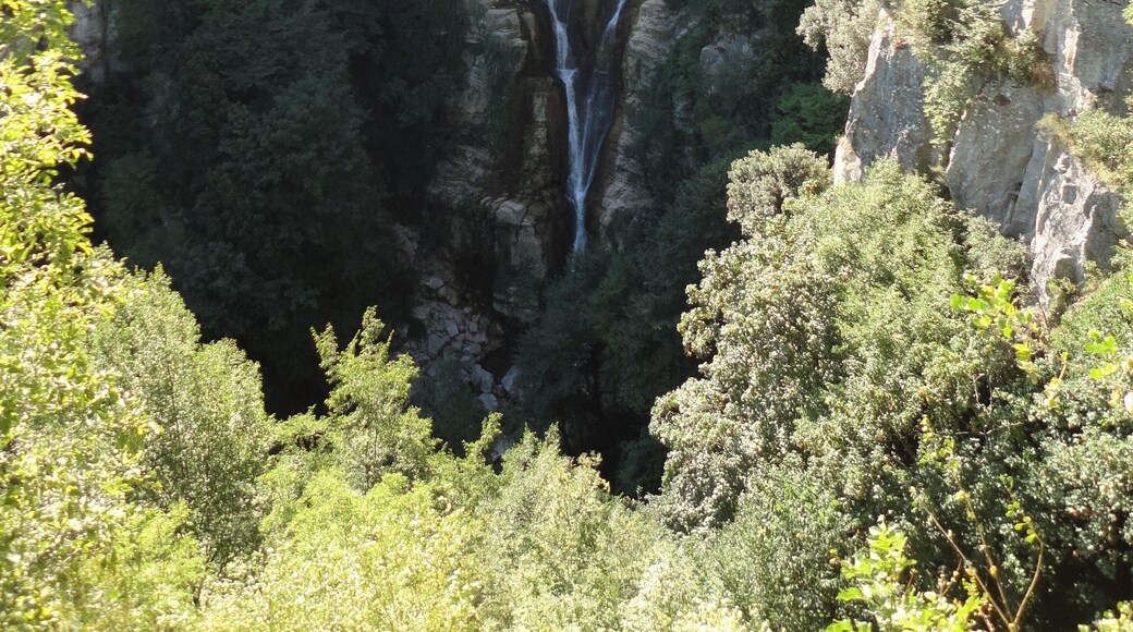 The authorisation for taking photos of this object was provided by the World Wide Fund for Nature Italy.