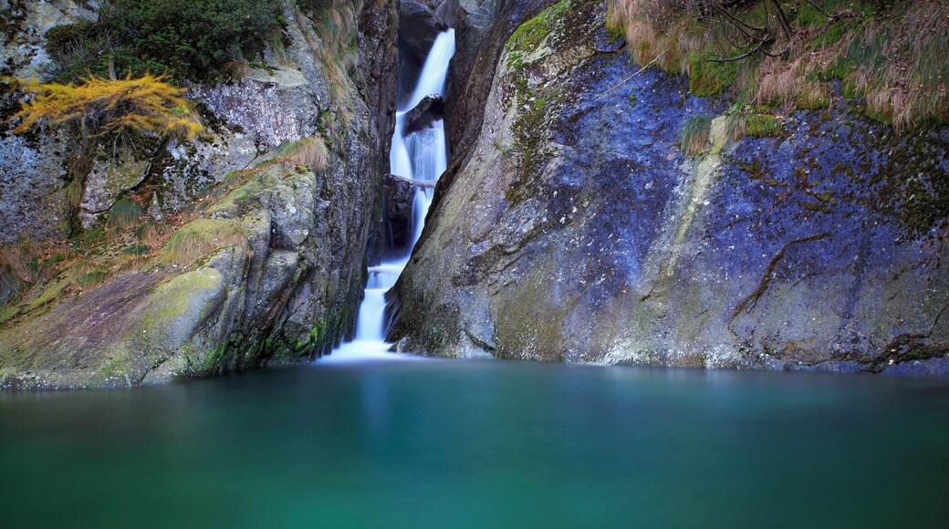 Taken almost at the beginnin of trail # 602 which leads from Lasinetto to the Lago Lasin (Vallone di Forzo), inside the Parco Nazionale del Gran Paradiso