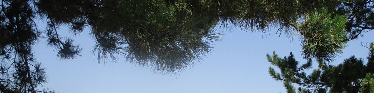 Veduta sulla piana del Fucino