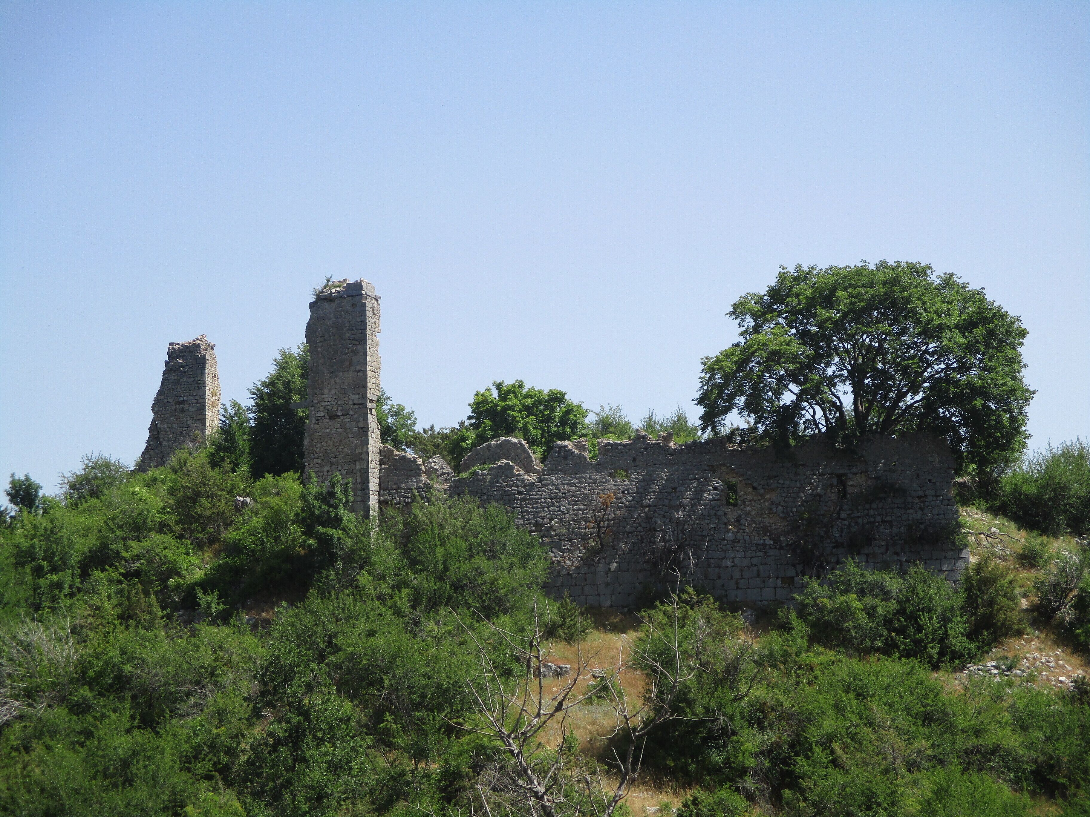 Ancient stone ruins surrounded by dense green foliage.