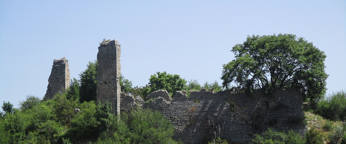 Ancient stone ruins surrounded by dense green foliage.