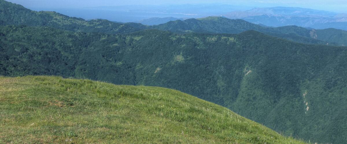 A mountainous landscape with dense green forests and a clear blue sky.