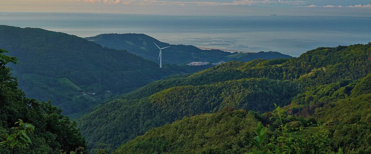 A wind turbine on a hill, lush green forest, and a distant body of water.