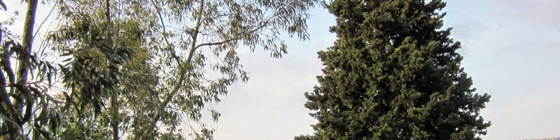 Chiesa dell'Assunzione. Casabona, Calabria, Italy.
