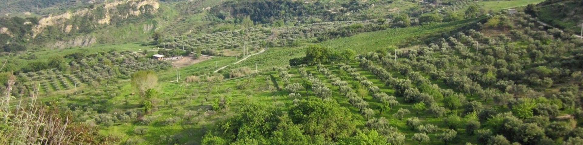 Casabona, Calabria, Italy.