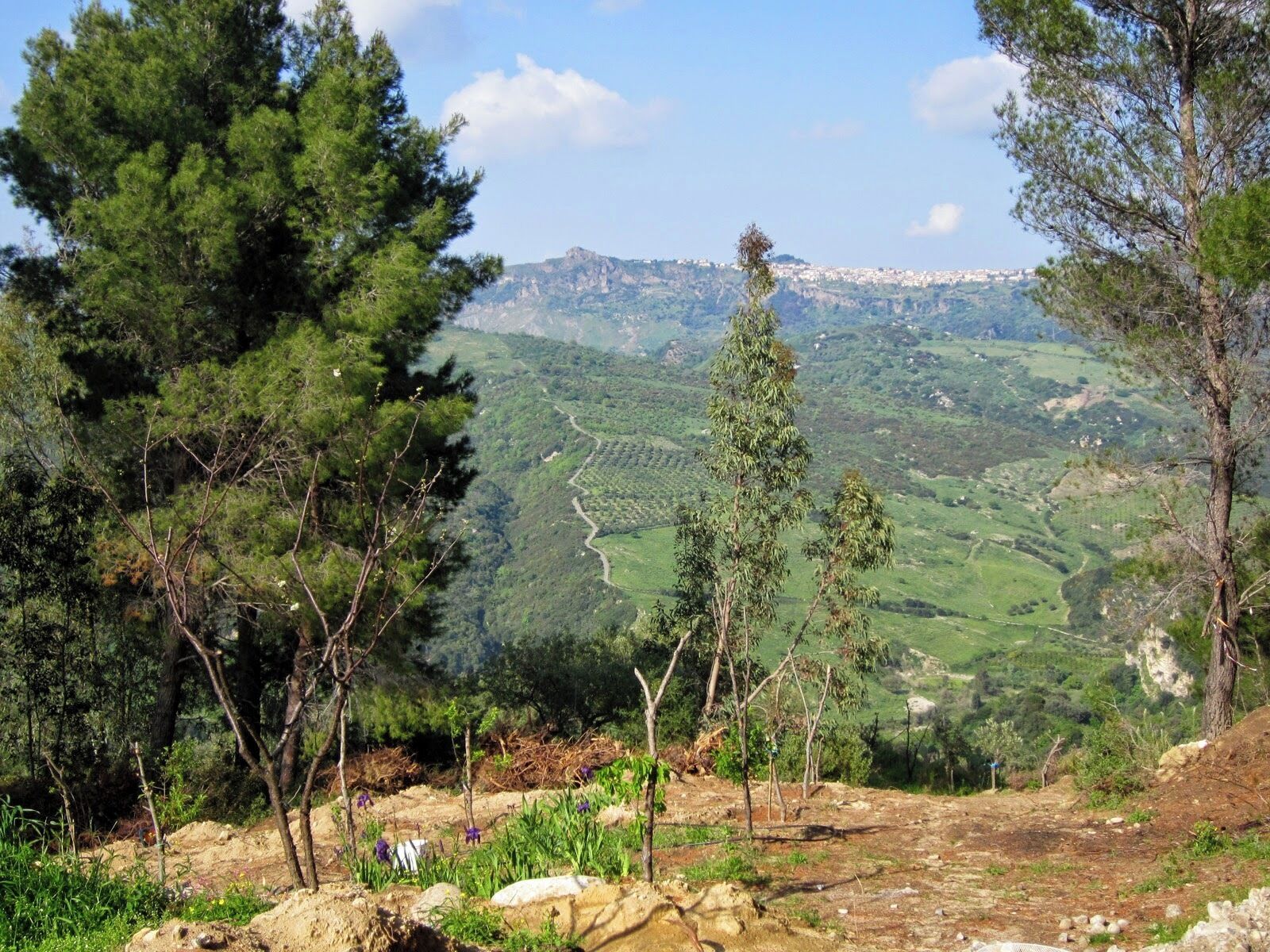 Near Casabona, Calabria, Italy.