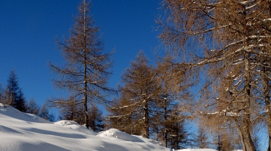Ciaspolata in Val Grigna