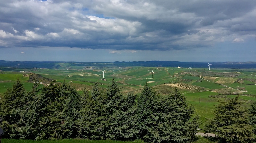 This is why I love my country, amazing view for a lunch with friends!