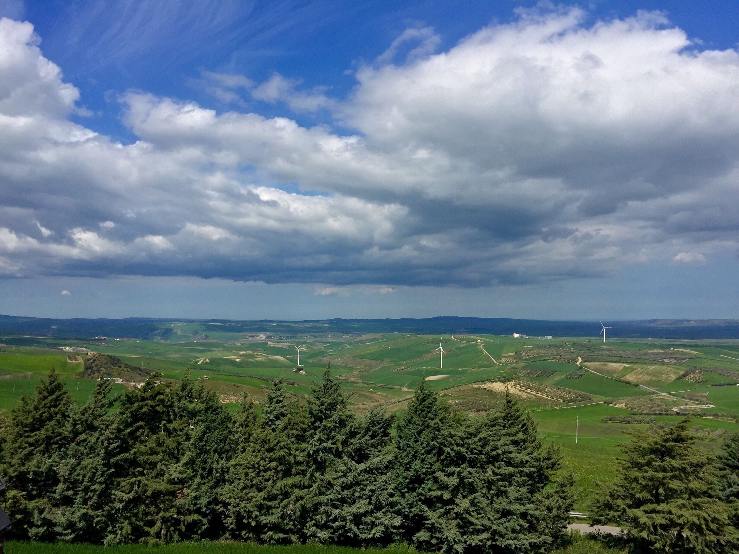 A landscape with rolling hills, wind turbines, and dense coniferous trees.