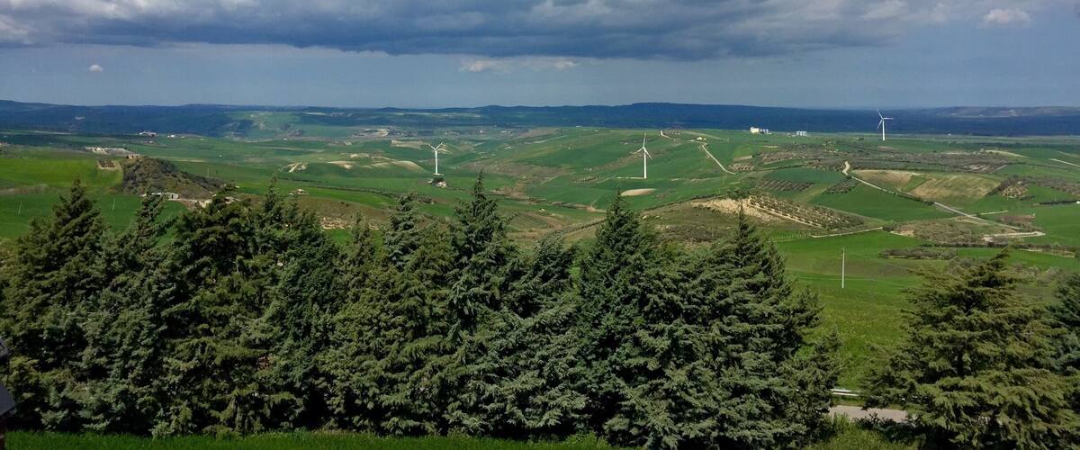 A landscape with rolling hills, wind turbines, and dense coniferous trees.