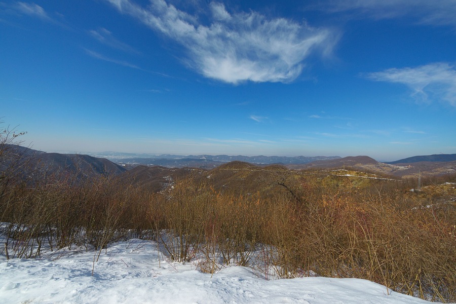 Panorama