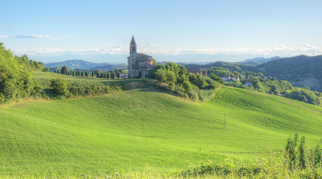 Verdi colline di Montesegale