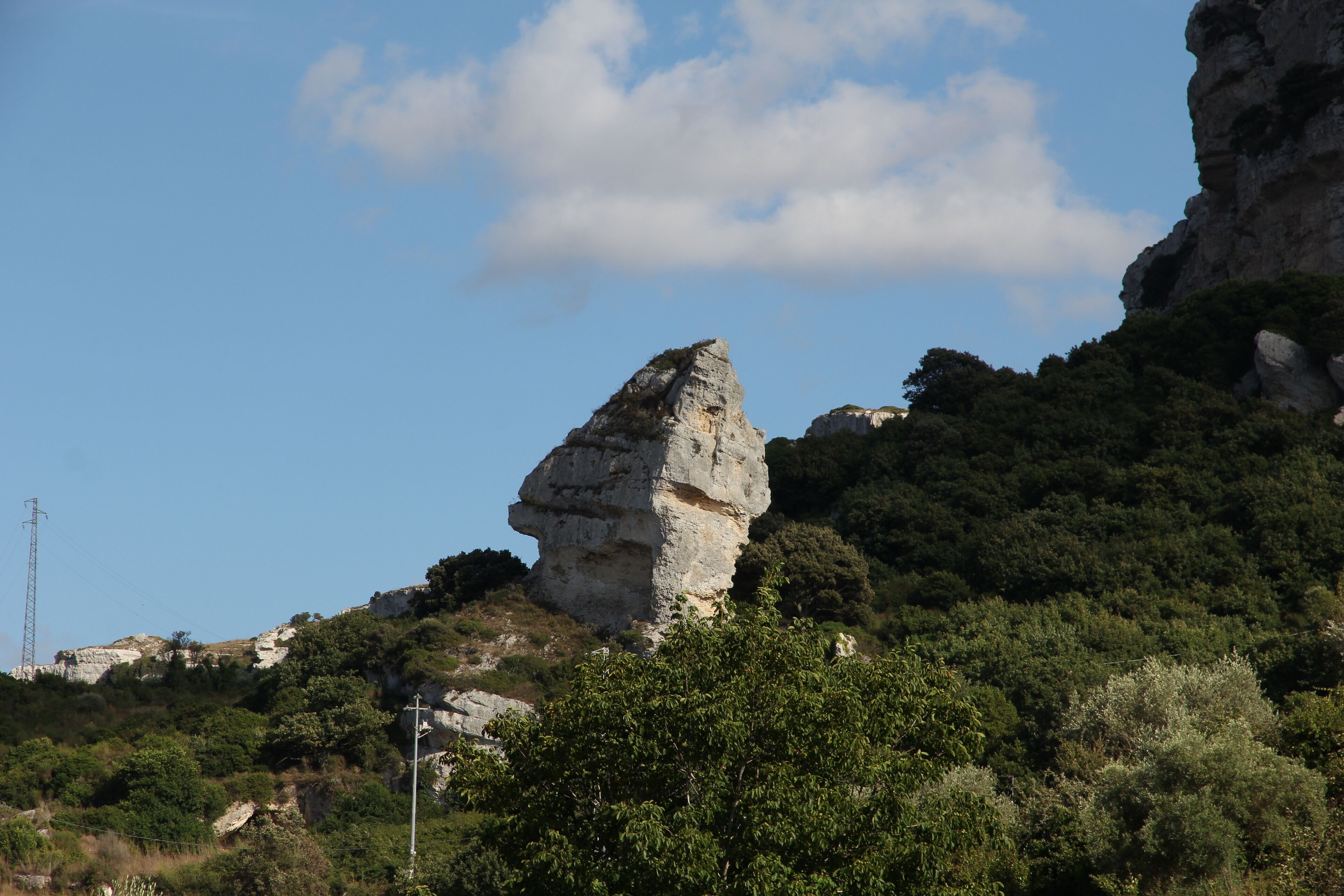 A rocky outcrop with dense greenery and a power line in the background.