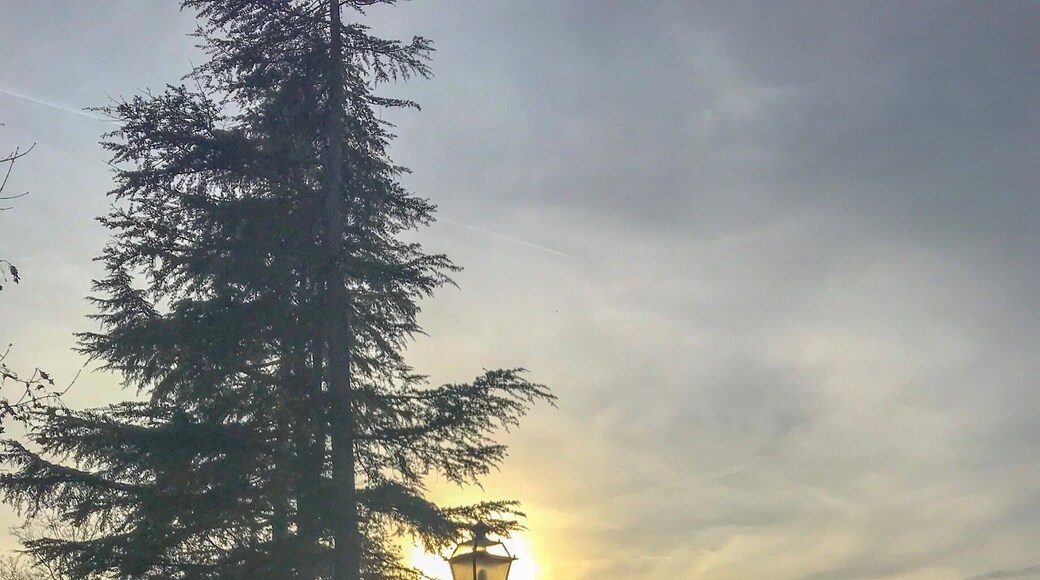 A very foggy day in a little town in Toscana one hour away from Florence.
#weekendgetaway #hiking #Golden #LifeAtExpedian