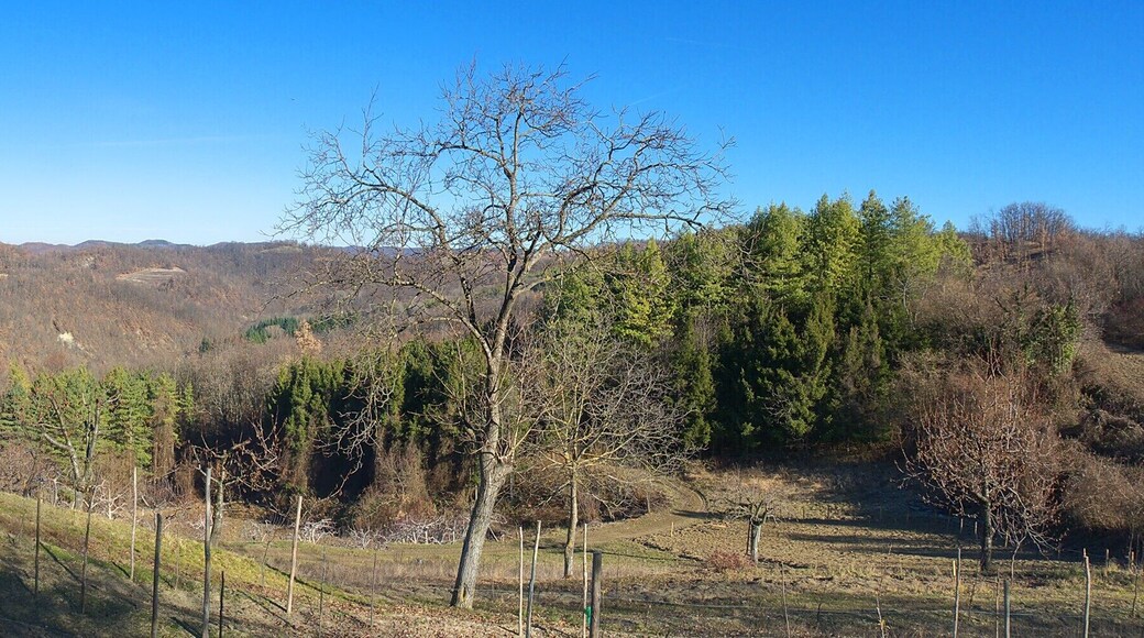 Panorama verso la Valle Staffora