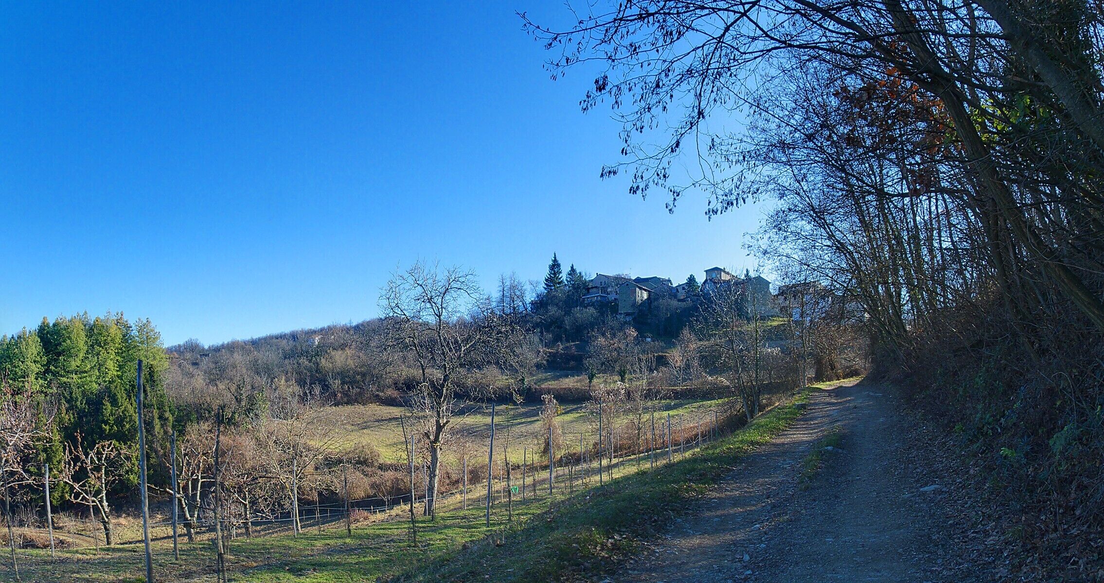 Castagnola, dalla strada per Guardamonte