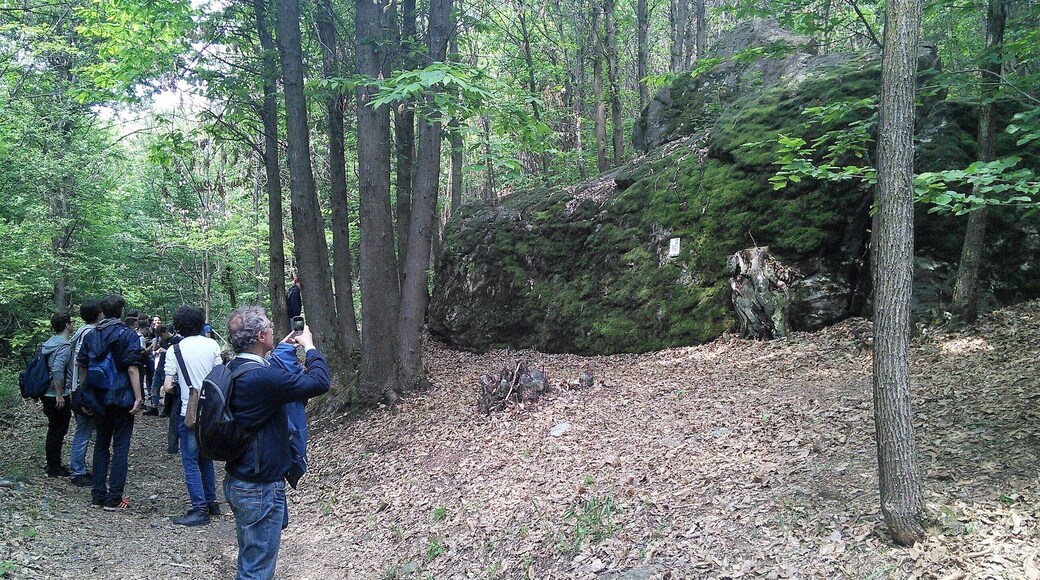 in the afternoon, GPS tracking along Path of Erratic Boulders