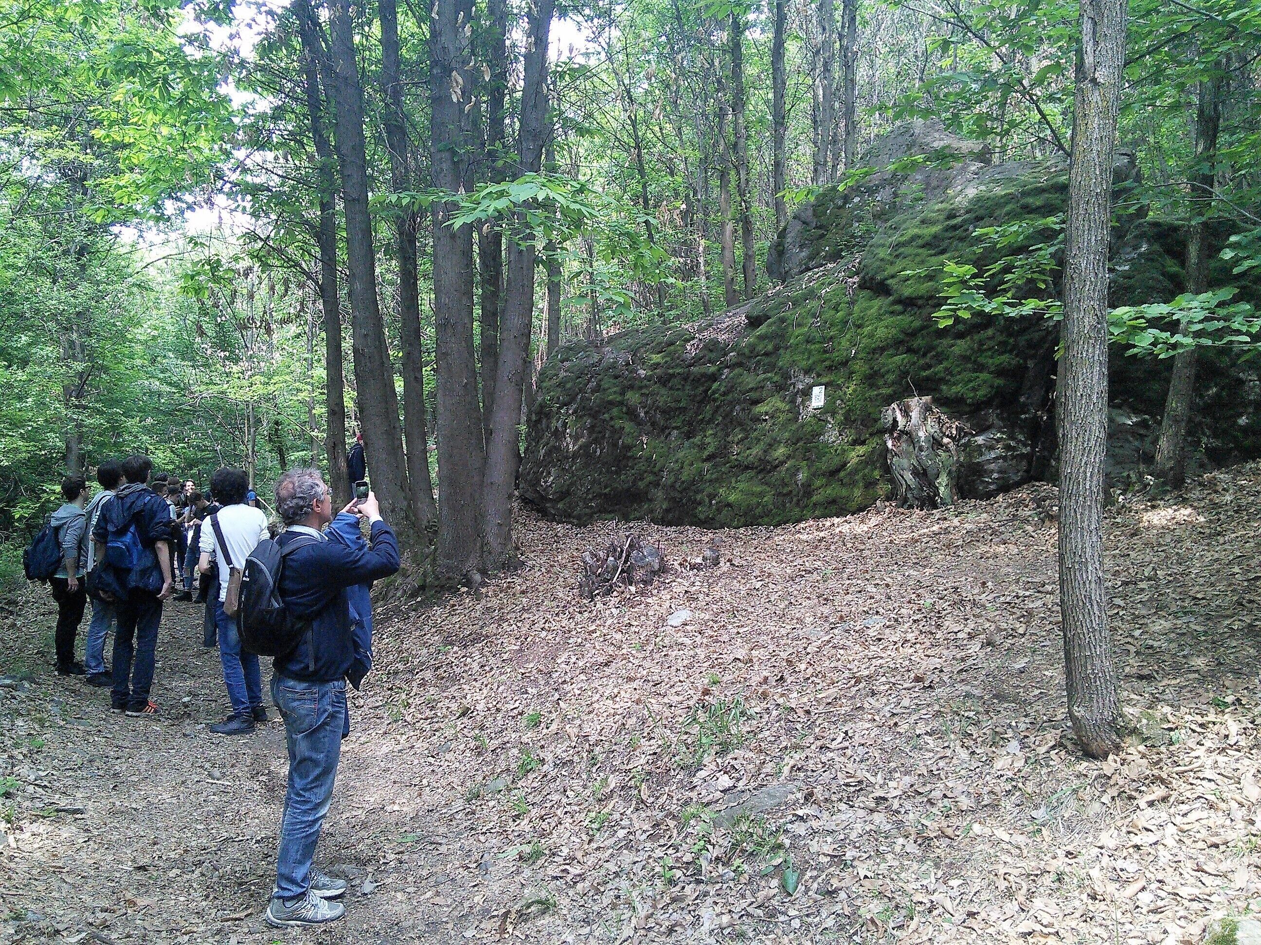 A group of people hiking in a forest with a moss-covered rock and a fallen tree.