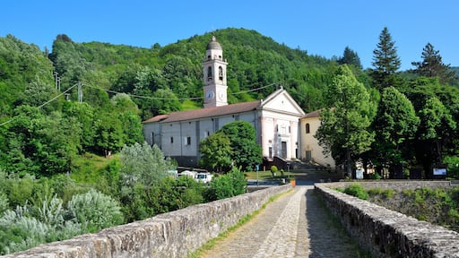 Montebruno
