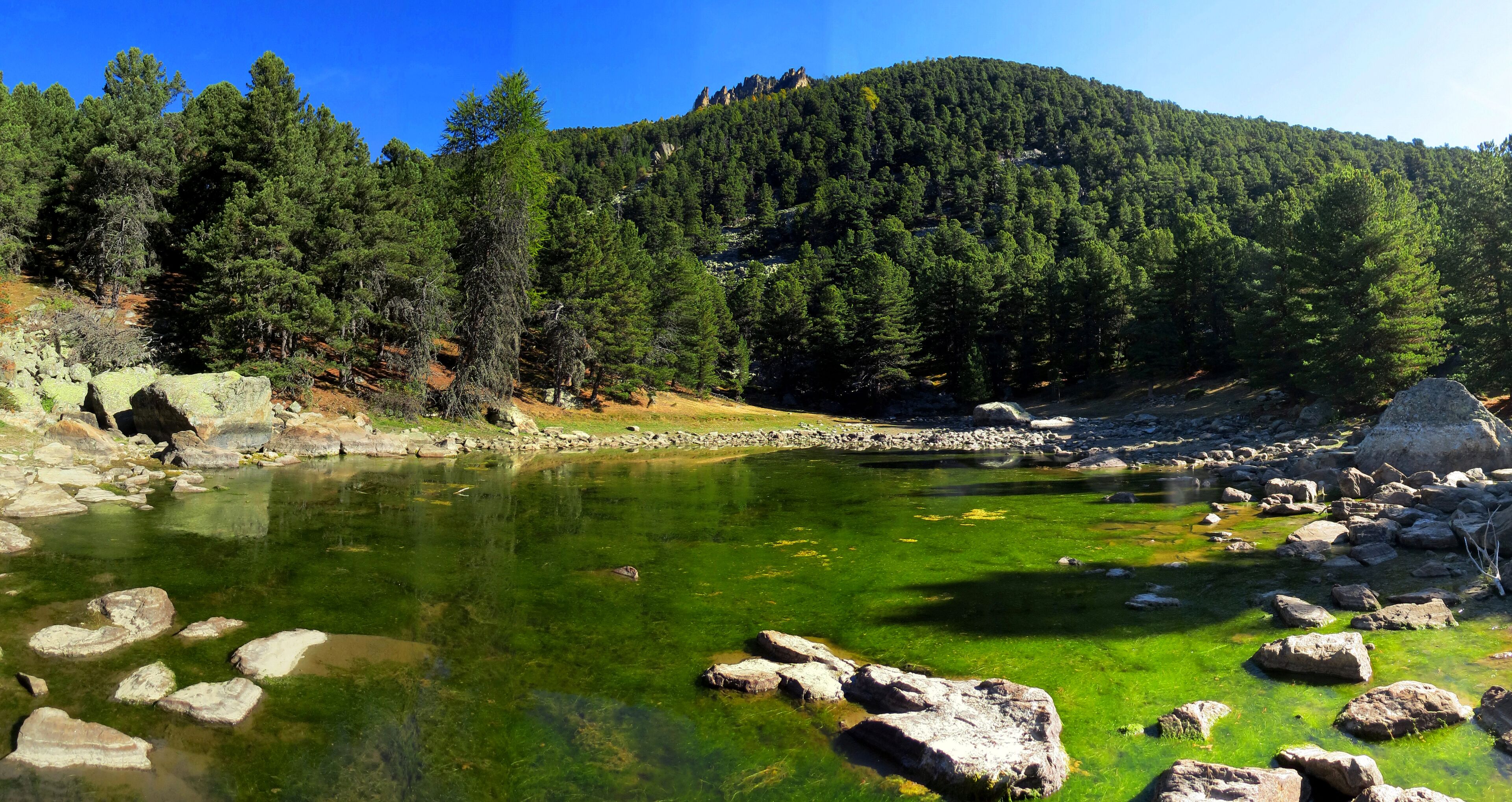 Parco del Monviso (Q47192508)