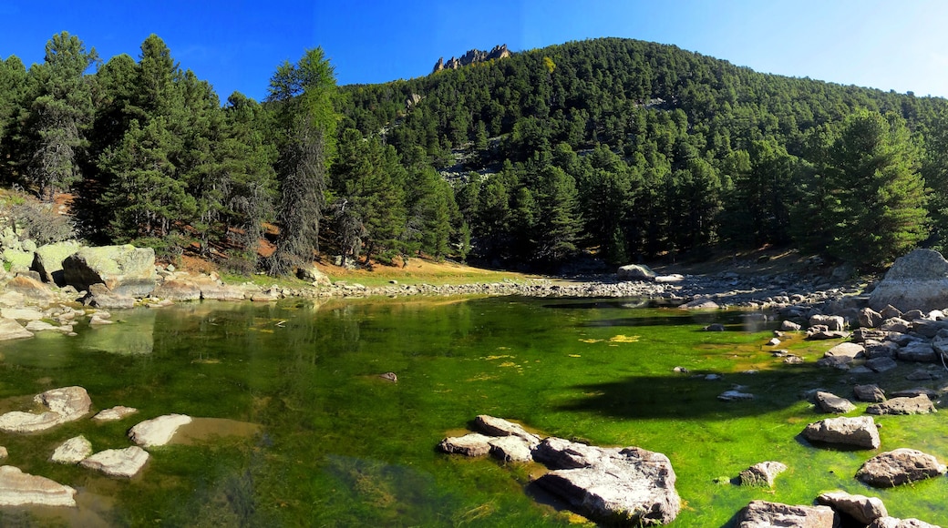 Parco del Monviso (Q47192508)